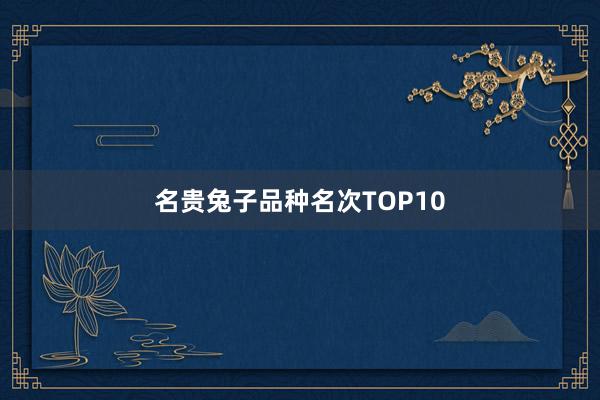 名贵兔子品种名次TOP10