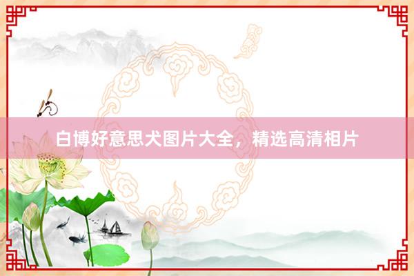 白博好意思犬图片大全，精选高清相片
