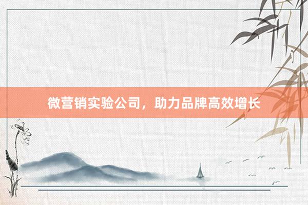 微营销实验公司，助力品牌高效增长